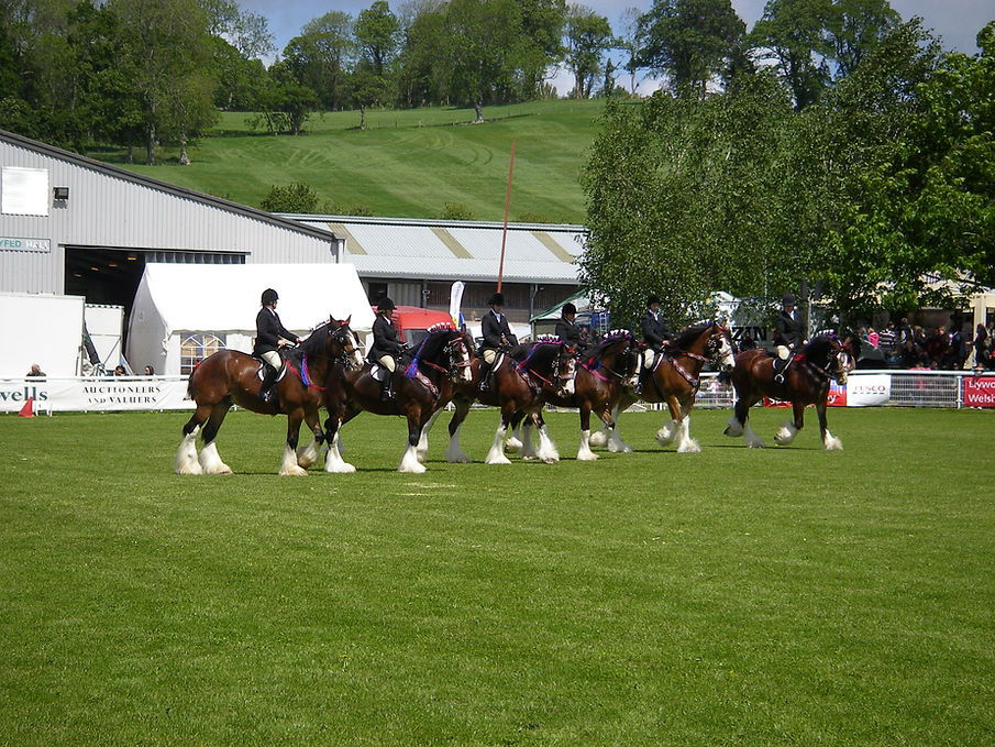 Formal ridden display